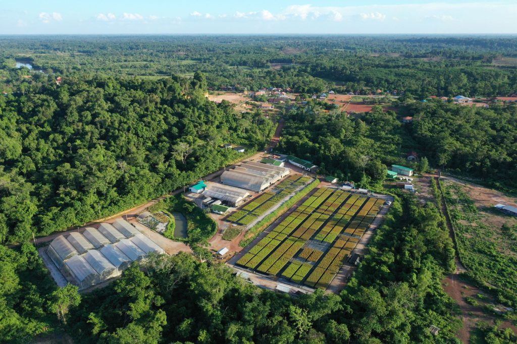 The Purpose of Forest Nurseries
