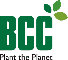 BCCAB