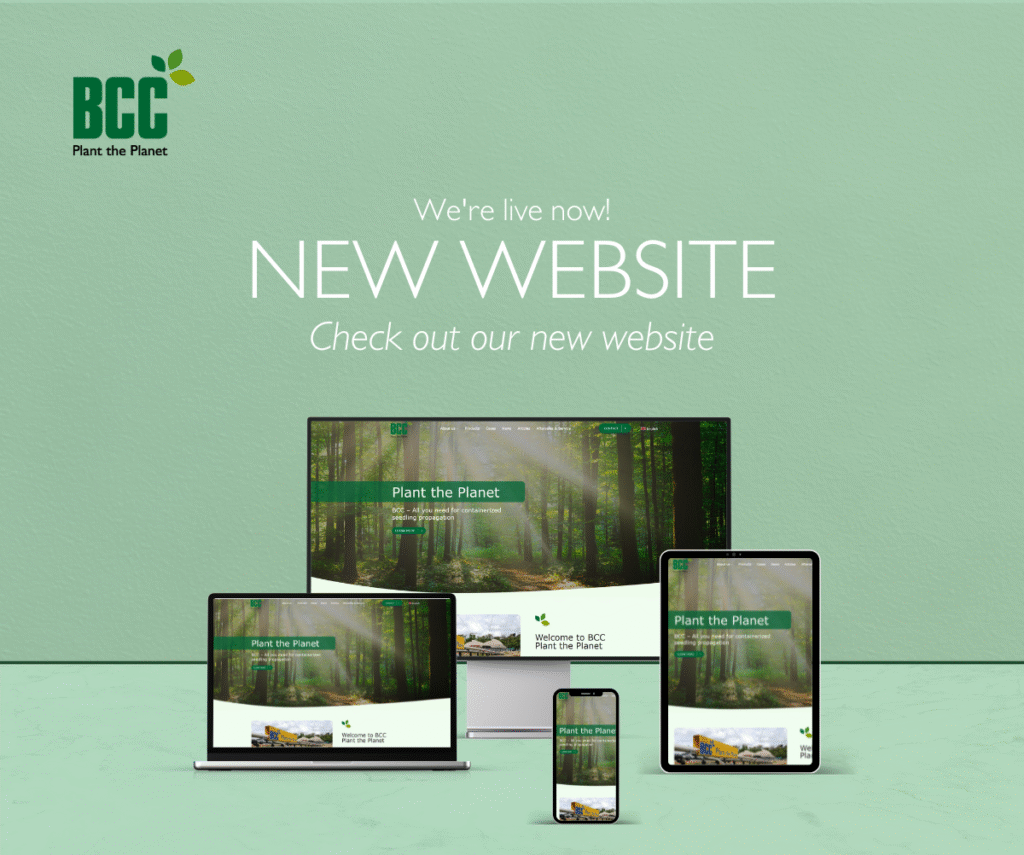 Welcome to our new BCC website!